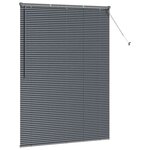 vidaXL Store de Fenêtre avec des rideaux Manuel Gris foncé Aluminium