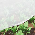 vidaXL Filet Anti-insectes Blanc 2 x 50 m HDPE