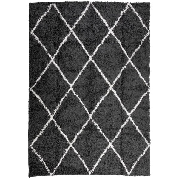 vidaXL Tapis shaggy à poils longs moderne noir et crème 160x230 cm