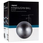 Avento Ballon de fitness/d'exercice Diamètre 55 cm Argenté