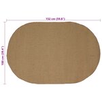 vidaXL Tapis de surface Naturel 100 x 152 cm Jute