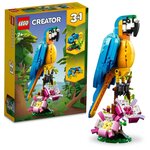 LEGO Creator 3-en-1 - Le perroquet exotique (31136).