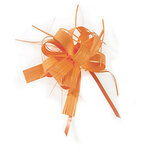 Lot de 50: nœud pour emballage cadeau  orange effet raphia