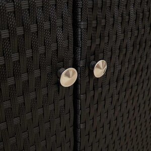 vidaXL Armoire de rangement avec étagère Noir 100 x 36 x 102 cm Rotin