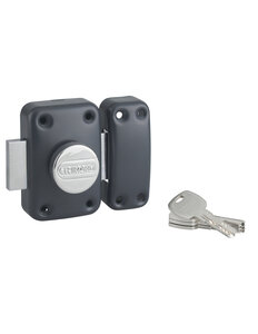 THIRARD - Verrou à bouton Transit 2 pour porte d'entrée  cylindre 40mm  4 clés  époxy anthracite - THIRARD
