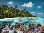 Puzzle Adultes Une plongee aux Maldives - 2000 Pièces