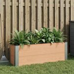 vidaXL Jardinière surélevée Marron 100 x 30 x 36 cm WPC et Aluminium
