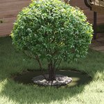 vidaXL Anneau d'arbre plat Vert olive Ø30 / 60 cm Acier