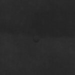 vidaXL Coussin de Dos Noir 80 x 24 x 50 cm Velours