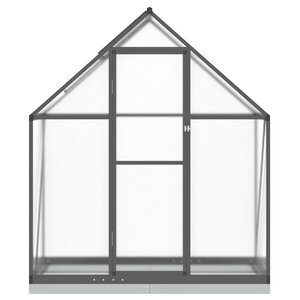 vidaXL Serre avec cadre de base anthracite 169x58x202 cm aluminium