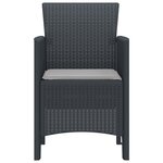 vidaXL Chaises de Jardin 2 Pièces Anthracite Poly Rattan