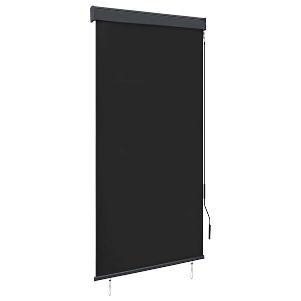 vidaXL Store roulant d'extérieur 80 x 250 cm Anthracite