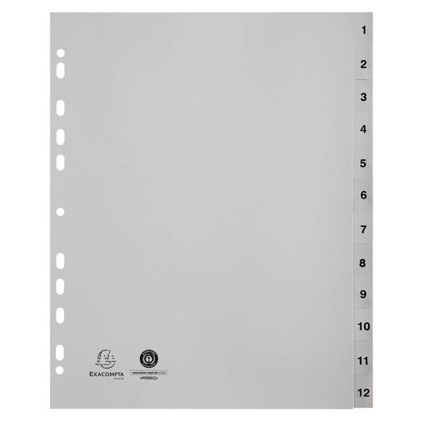Intercalaires Imprimés Numériques Pp Recyclé Gris 12 Positions - A4 Maxi - Gris - Exacompta