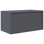 vidaXL Armoire de rangement Anthracite 80 x 40 x 40 cm Acier