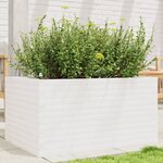 vidaXL Jardinière blanc 90x60x45 5 cm bois de pin massif