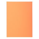 Paquet de 30 sous-chemises SUPER 60 - 22x31cm - Couleurs assorties x 10 EXACOMPTA