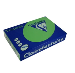Ramette 250 Feuilles Papier 160g A4 210x297 mm vert billard TROPHÉE