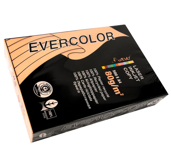 Ramette 500 Feuilles Papier 80g A4 210x297 mm Certifié Ange Bleu saumon EVERCOLOR