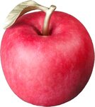 Pièce de monnaie en Cuivre 100 Francs g 400 Millésime 2025 APPLE 3D