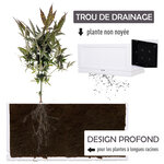 Jardinière bac à fleurs potager dim. 60L x 30l x 29H cm insert d'irrigation inclus plastique blanc