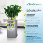 LECHUZA Jardinière CANTO Stone 30 High ALL-IN-ONE Gris pierre