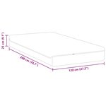 vidaXL Matelas Blanc  Gris 120 x 200 cm Mousse