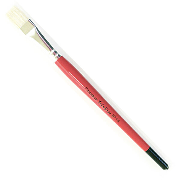 Brosse Plate Soie de Porc n°16 - lot de 10 brosses
