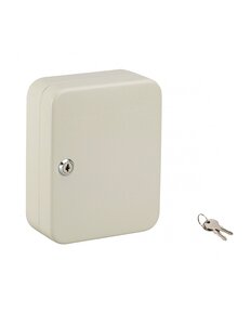 THIRARD - Armoire à clé Kibox  serrure à cylindre  capacité de 20 clés - THIRARD