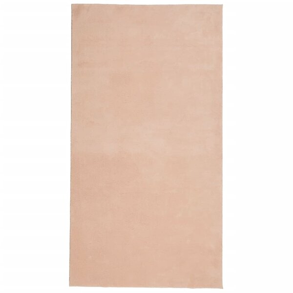 vidaXL Tapis HUARTE à poils courts doux lavable rouge clair 80x150 cm