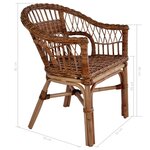 vidaXL Chaises d'extérieur lot de 4 Rotin naturel Marron