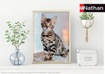 Puzzle N 500 p - Chaton Bengal