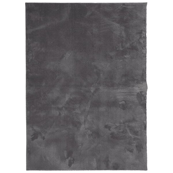 vidaXL Tapis HUARTE à poils courts doux lavable anthracite 120x170 cm