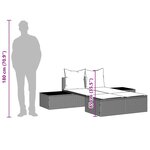 vidaXL Chaise longue double avec coussins noir résine tressée