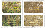Carnet 12 timbres - Une Moisson De Céréales - Lettre prioritaire