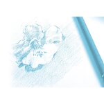 Bloc dessin grain fin encollé 24x32 20 feuilles 160g CLAIREFONTAINE