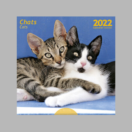 Calendrier 2022 mural 30x30 cm Chats