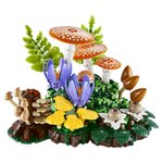 11505 Les champignons des bois ® Botanicals
