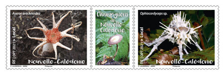 Timbre diptyque Nouvelle Calédonie - Champignons de Nouvelle Calédonie