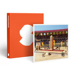 SMARTBOX - Coffret Cadeau Séjour Puy du Fou® : Billets d’entrée pour 2 adultes et 1 enfant (2 jours) et nuit à l’Hotel La Villa Gallo-Romaine -  Séjour