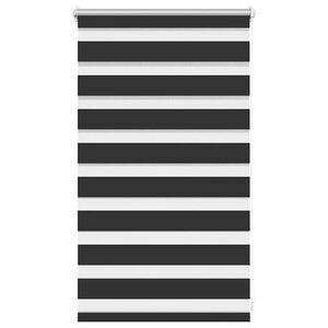 Store enrouleur tamisant 50 x 100 cm noir