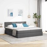 vidaXL Lit de Rangement Gris foncé 200 x 200 cm Cuir synthétique