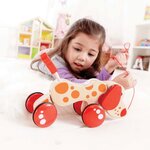 Hape chiot de promenade e0347