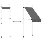vidaXL Auvent manuel rétractable 100 cm anthracite