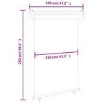 vidaXL Auvent latéral de balcon 120x250 cm Marron