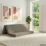 vidaXL Canapé-lit pliable 160 x 67 x 45 cm Gris clair