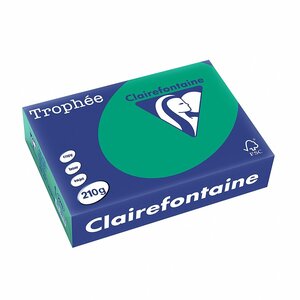 Ramette 250 Feuilles Papier 210g A4 210x297 mm vert sapin CLAIREFONTAINE