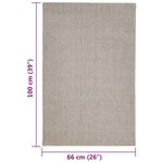 Vidaxl tapis sisal naturel 66x100 cm sableux