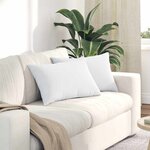 vidaXL Coussins de canapé 2 Pièces Blanc 60 x 40 cm tissu