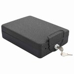 vidaXL Coffre de voiture avec verrouillage Noir 21.8 x 16 x 7 cm Acier