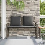 vidaXL Banc extérieur 2 -Seater 116 x 55 x 82 cm Acier et Rattan Poly